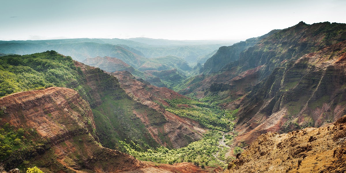 BOH email July 30 2020